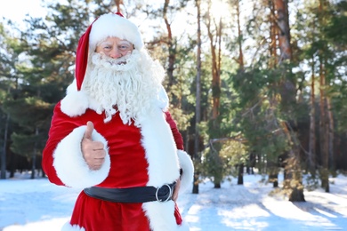 Photo of Authentic Santa Claus showing thumb up gesture outdoors