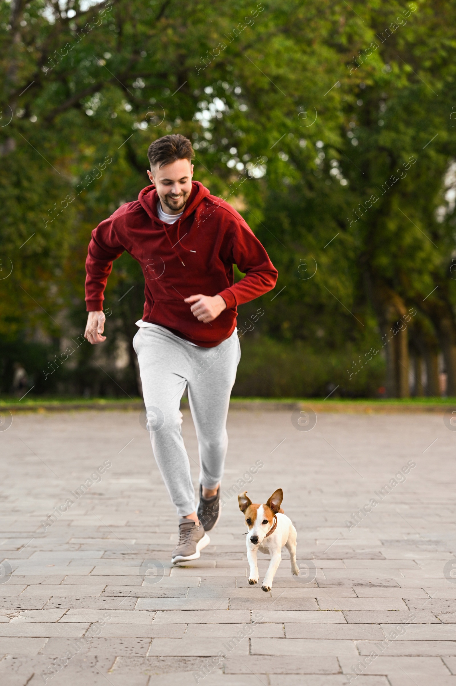 Photo of Man running with adorable Jack Russell Terrier on city street. Dog walking