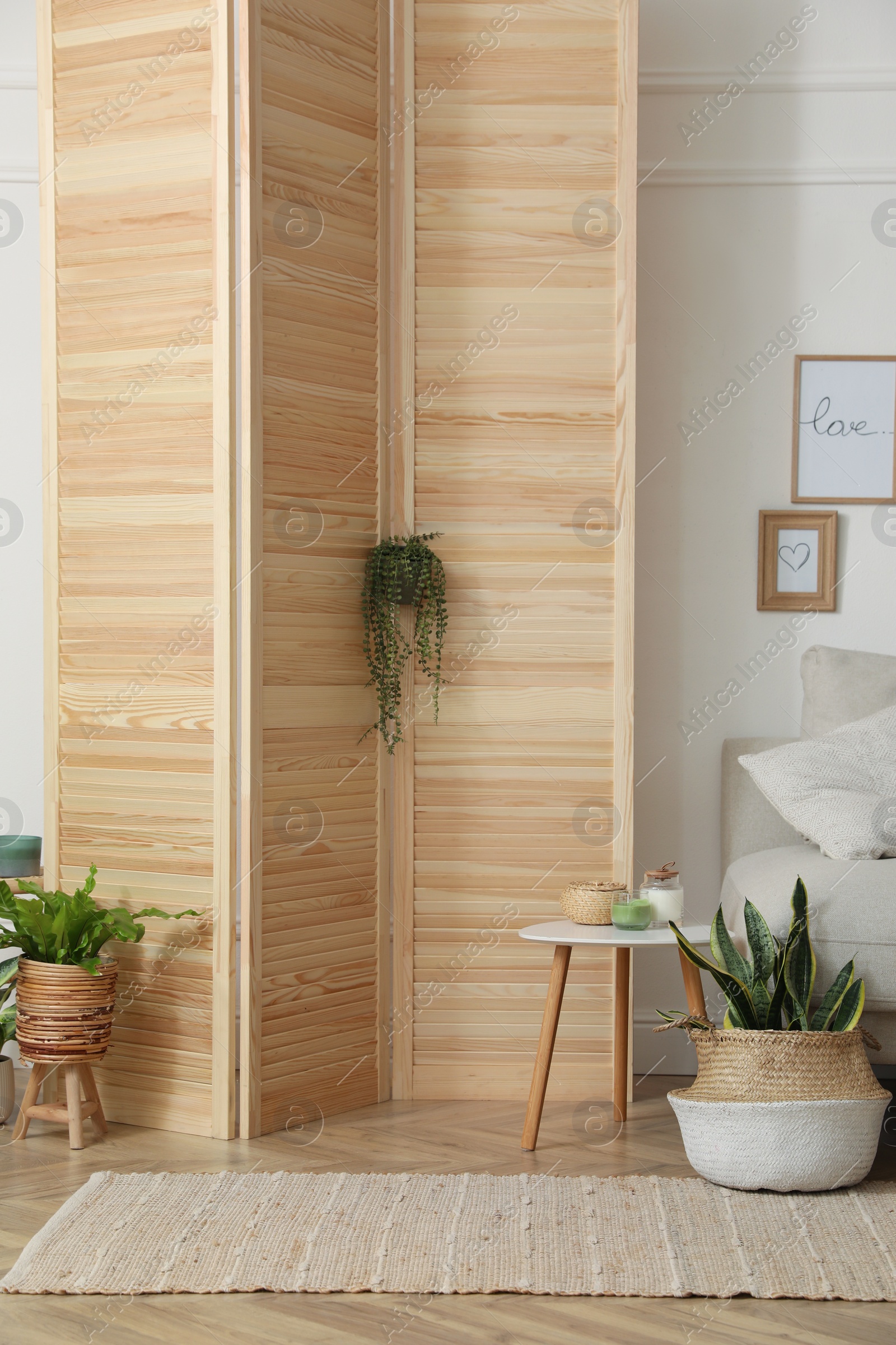 Photo of Folding screen and beautiful houseplants near white wall in room. Interior design