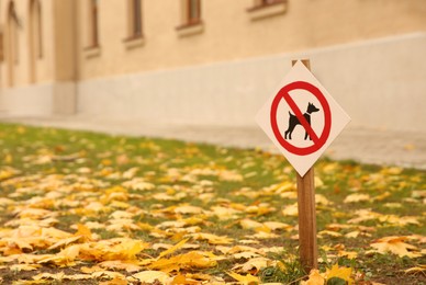 Photo of No dogs allowed sign in park on sunny autumn day