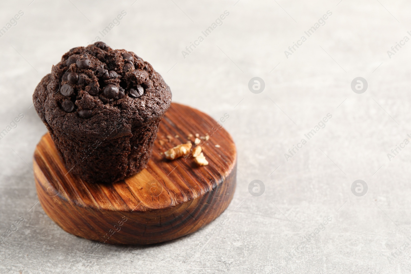 Photo of Delicious chocolate muffin on light grey table, closeup and space for text