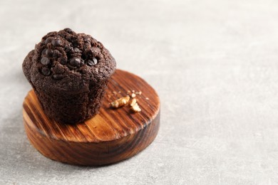 Photo of Delicious chocolate muffin on light grey table, closeup and space for text