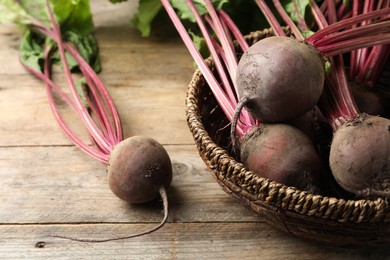 Many raw ripe beets on wooden table