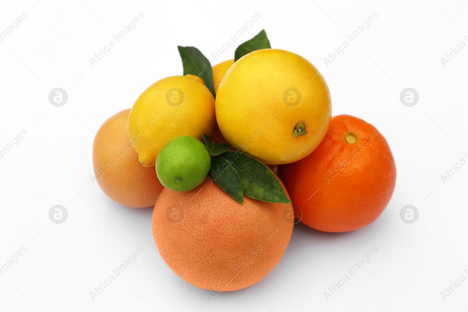 Photo of Different citrus fruits and leaves on white background