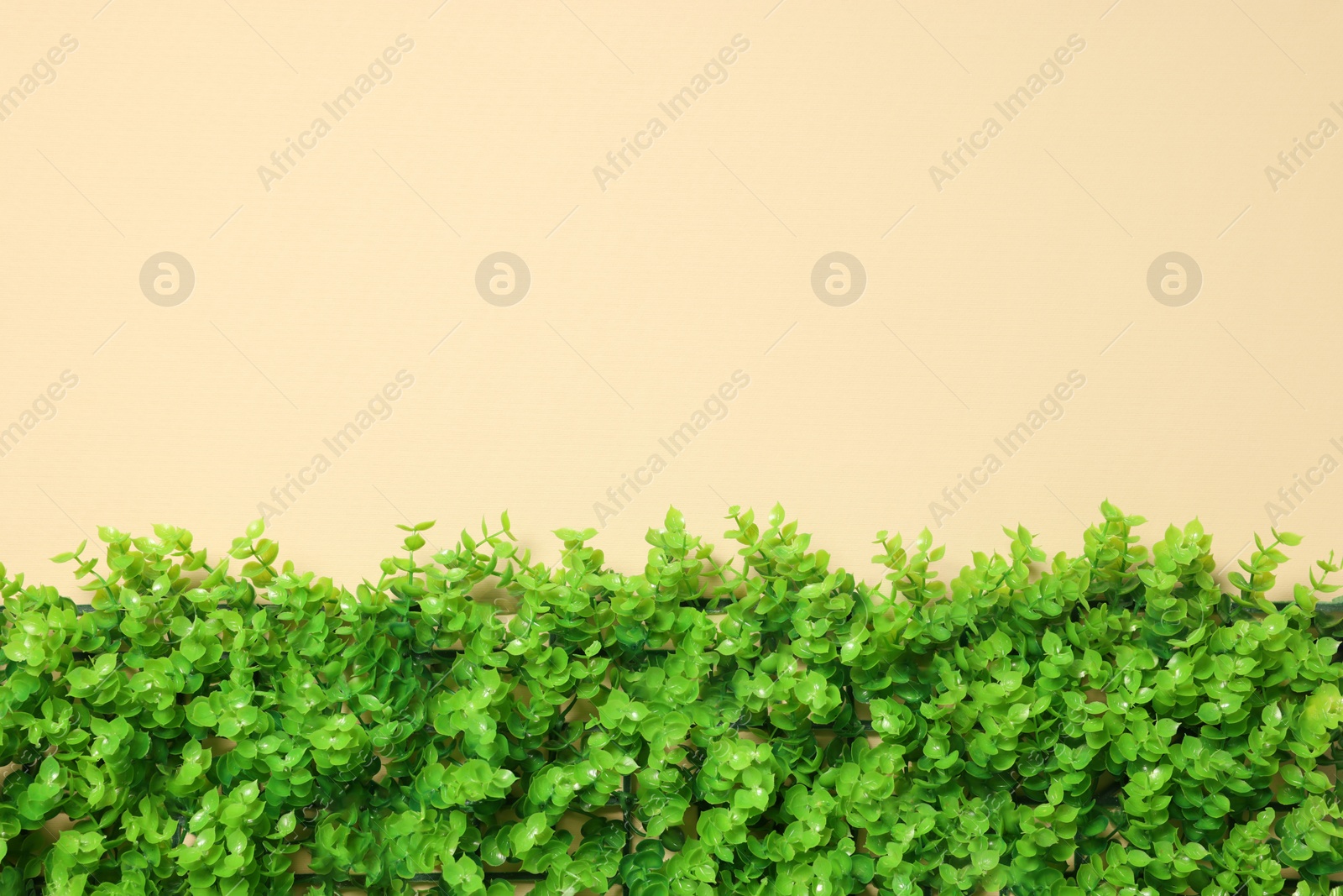 Photo of Green artificial plants on beige background, top view. Space for text