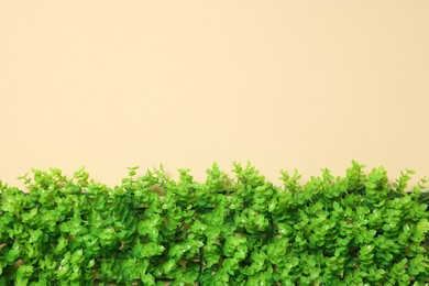 Green artificial plants on beige background, top view. Space for text