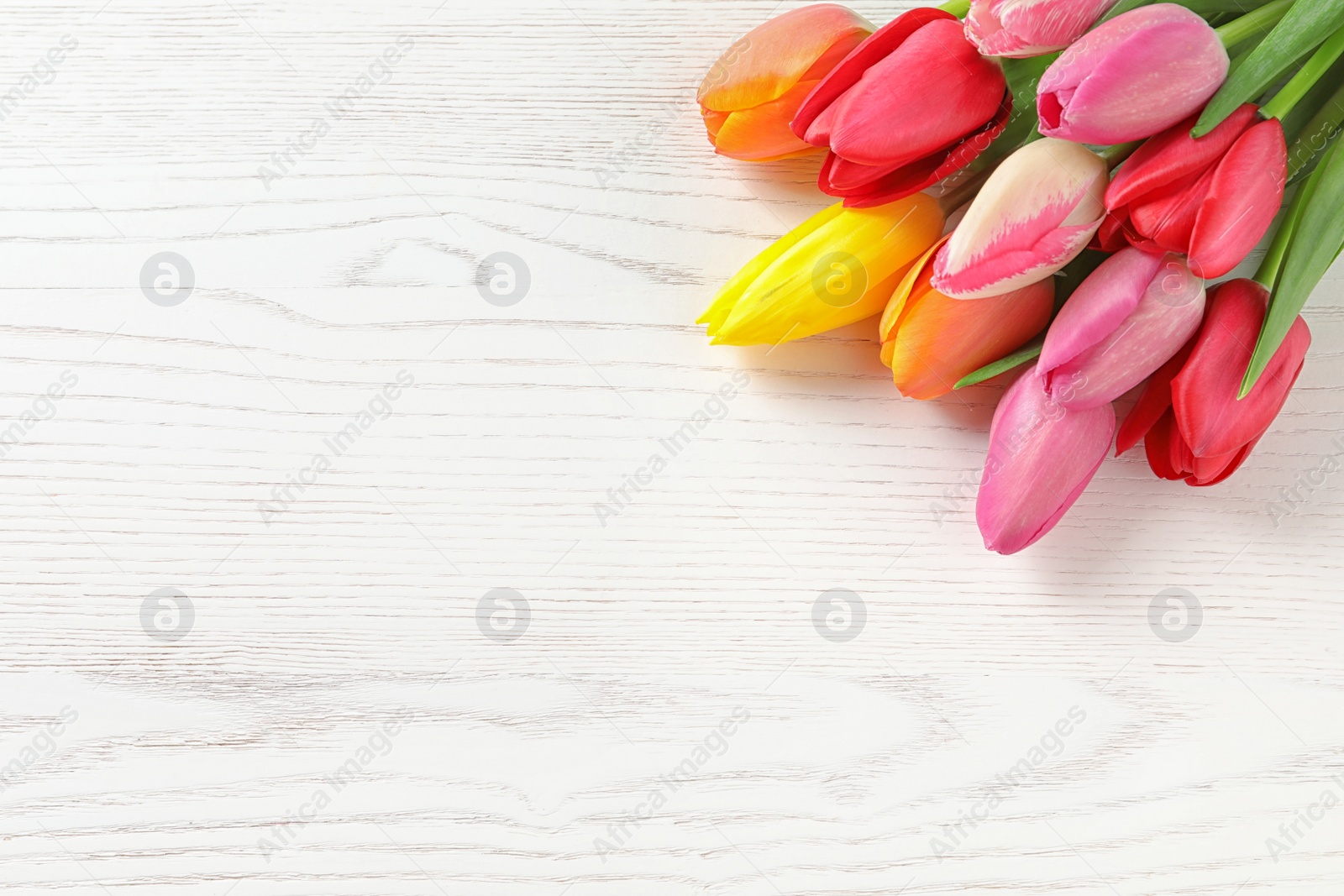 Photo of Beautiful spring tulip flowers on wooden background. Space for text