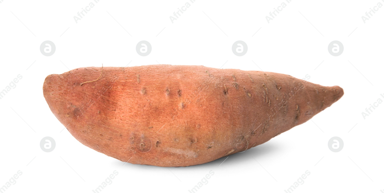 Photo of Whole ripe sweet potato isolated on white