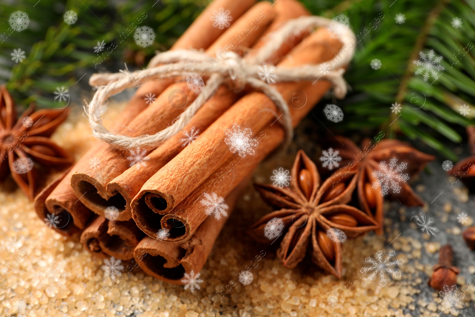 Image of Different spices and fir tree branches on grey table, closeup. Cinnamon, anise, cloves, brown sugar