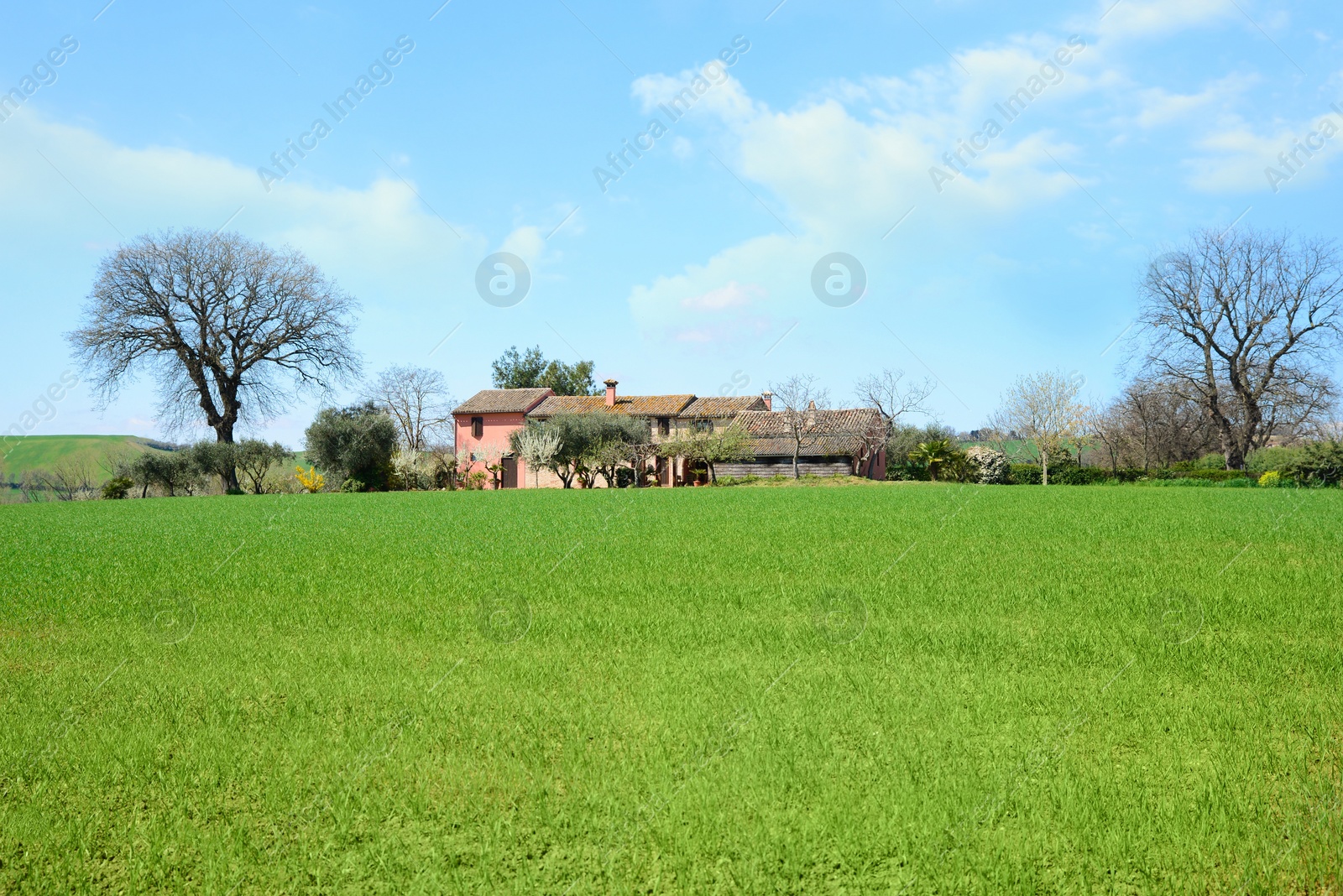 Photo of Beautiful view of landscape with meadow and buildings on sunny day