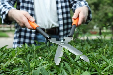 Worker cutting bush with hedge shears outdoors, closeup. Gardening tool