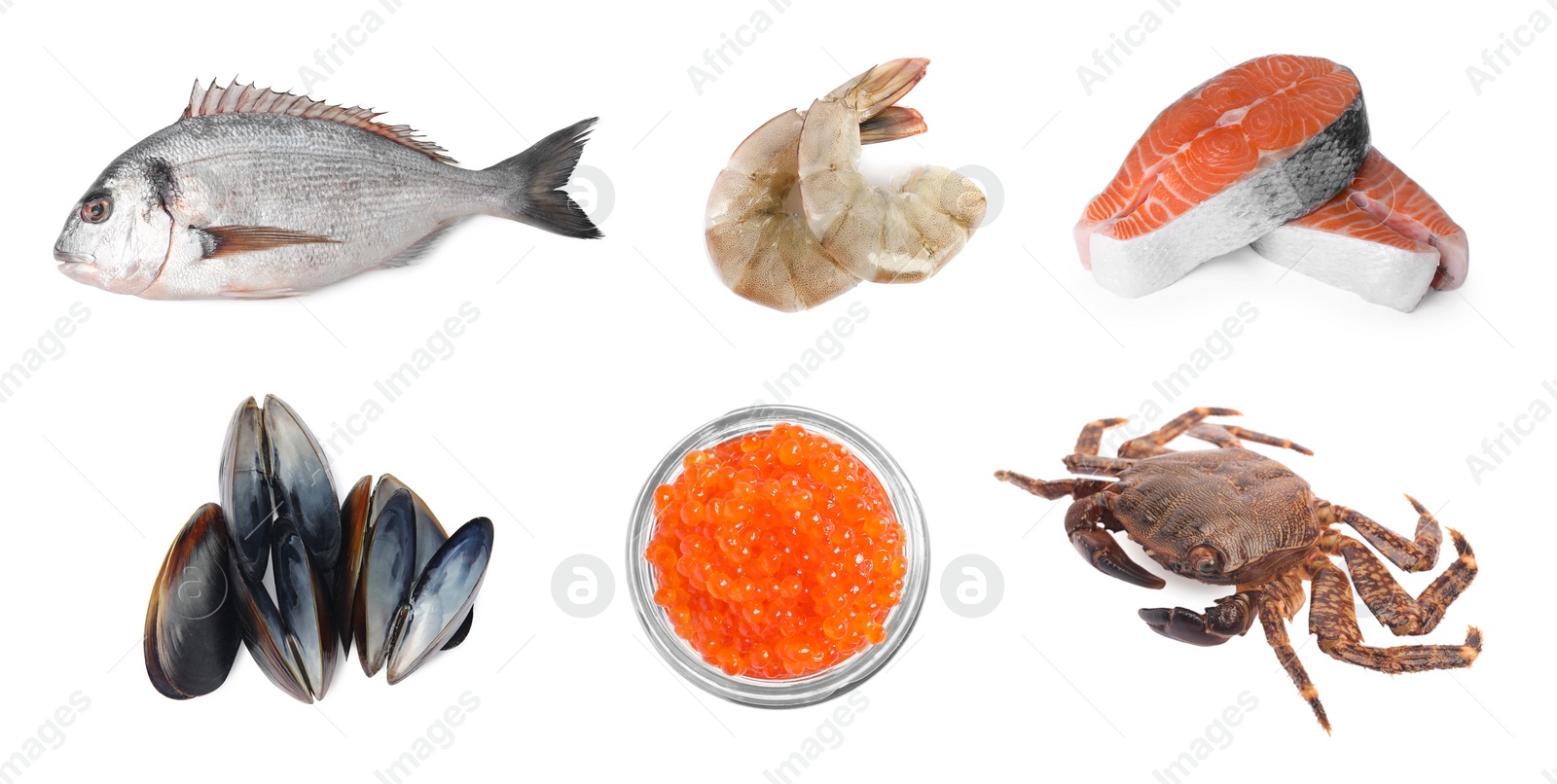 Image of Dorado fish and other seafood isolated on white, set