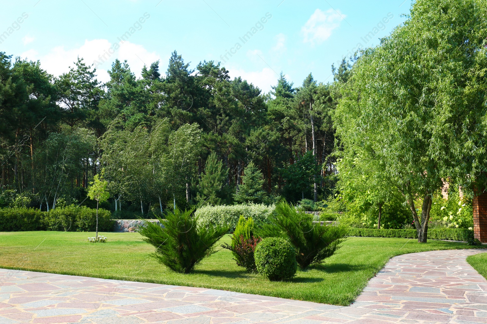 Photo of Picturesque landscape with beautiful green garden on sunny day