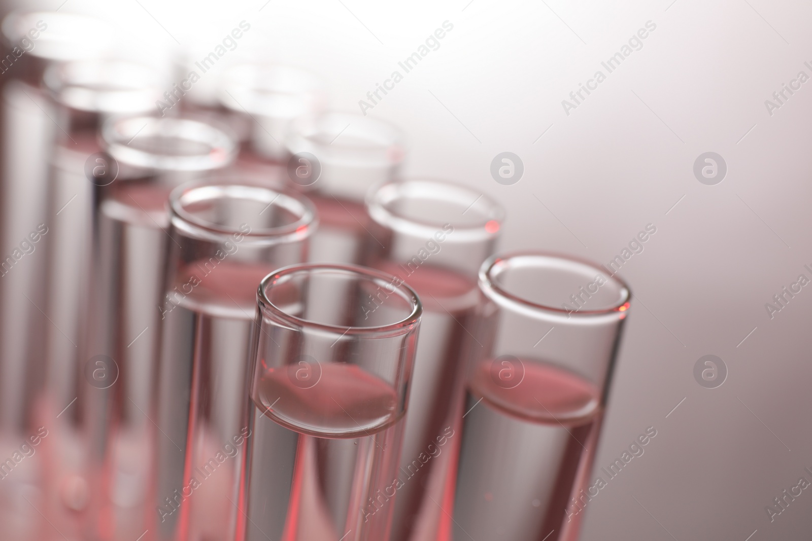 Photo of Many glass test tubes on light background, closeup