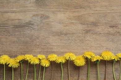 Photo of Beautiful yellow dandelions on wooden table, flat lay. Space for text