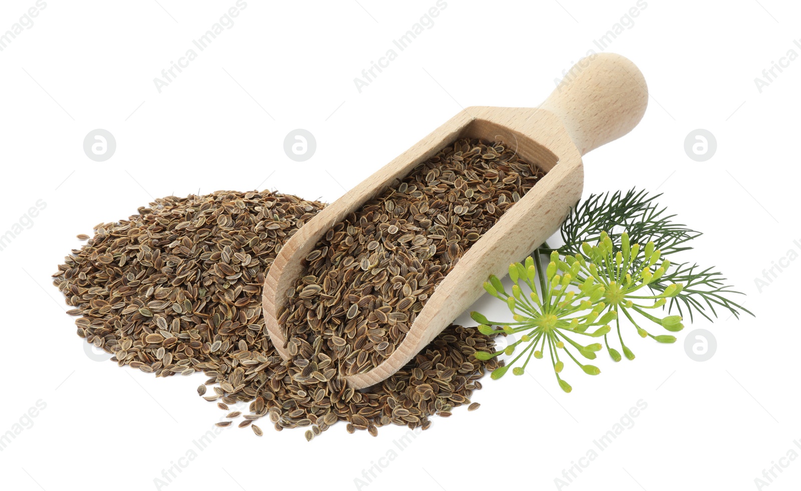 Photo of Scoop with dry seeds and fresh dill isolated on white
