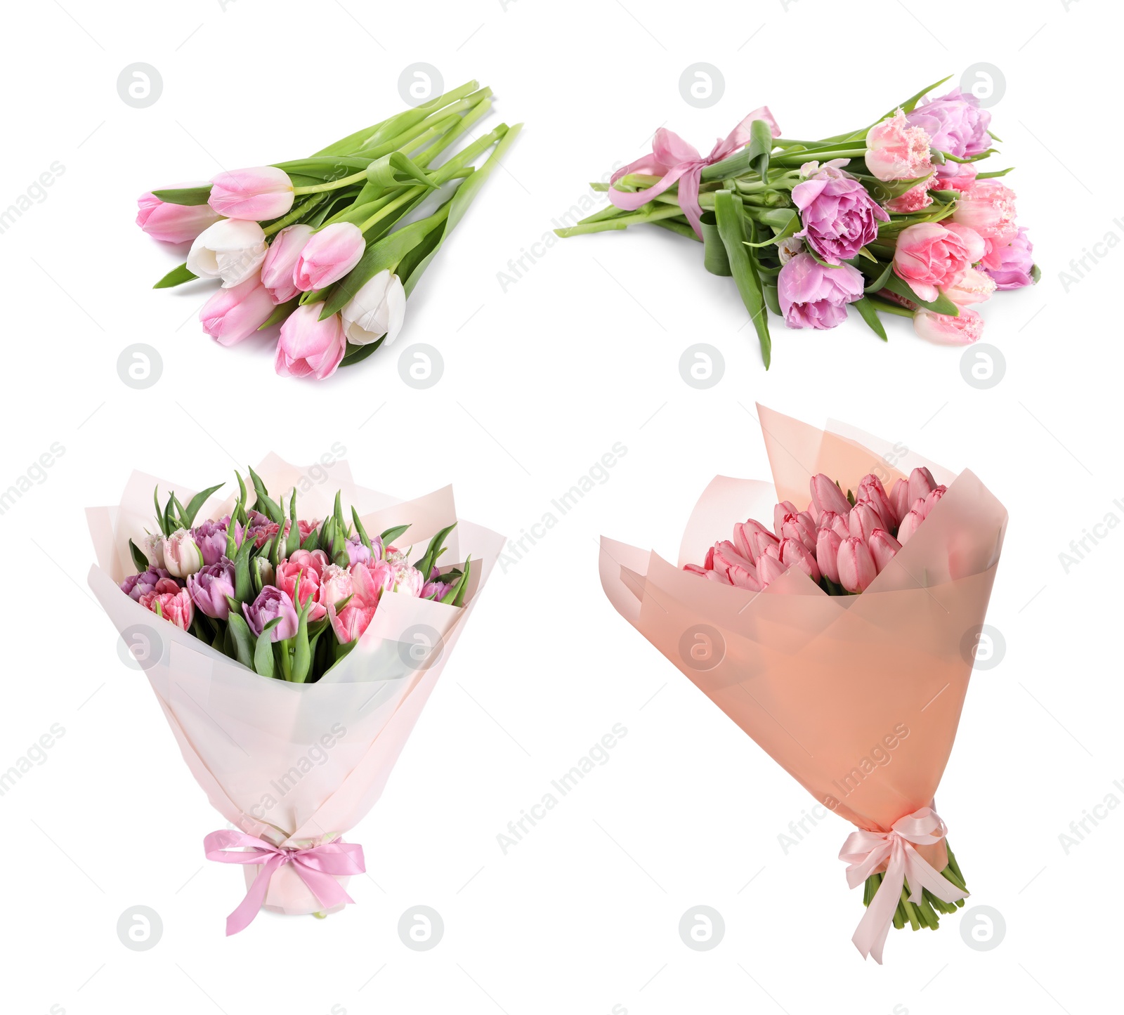 Image of Beautiful bouquets of tulip flowers isolated on white, set