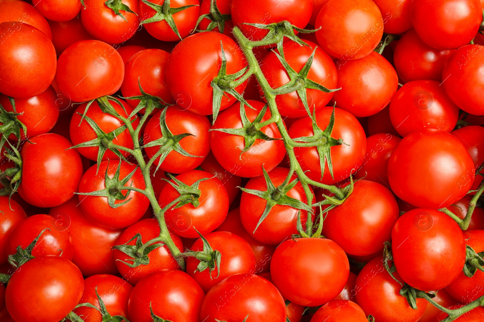 Photo of Many fresh ripe tomatoes as background, top view