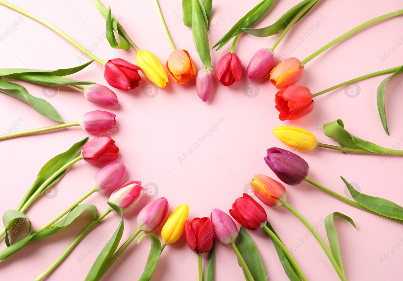 Photo of Heart made of beautiful tulip flowers on color background, flat lay. Space for text