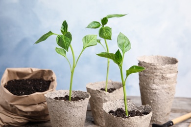 Vegetable seedlings in peat pots on table against light background