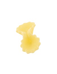 Photo of One piece of raw farfalline pasta isolated on white