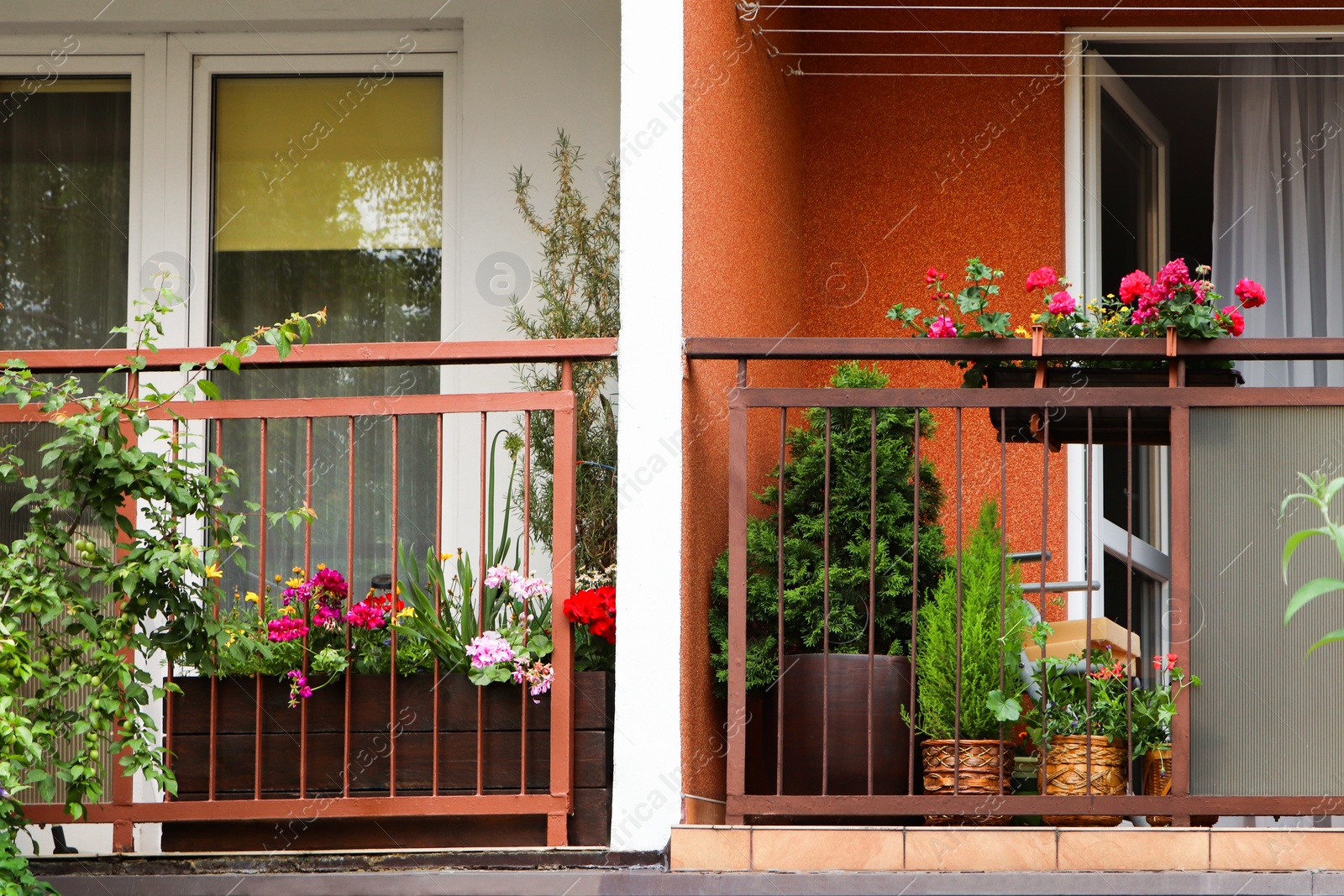 Photo of Balcony decorated with beautiful flowers and green plants