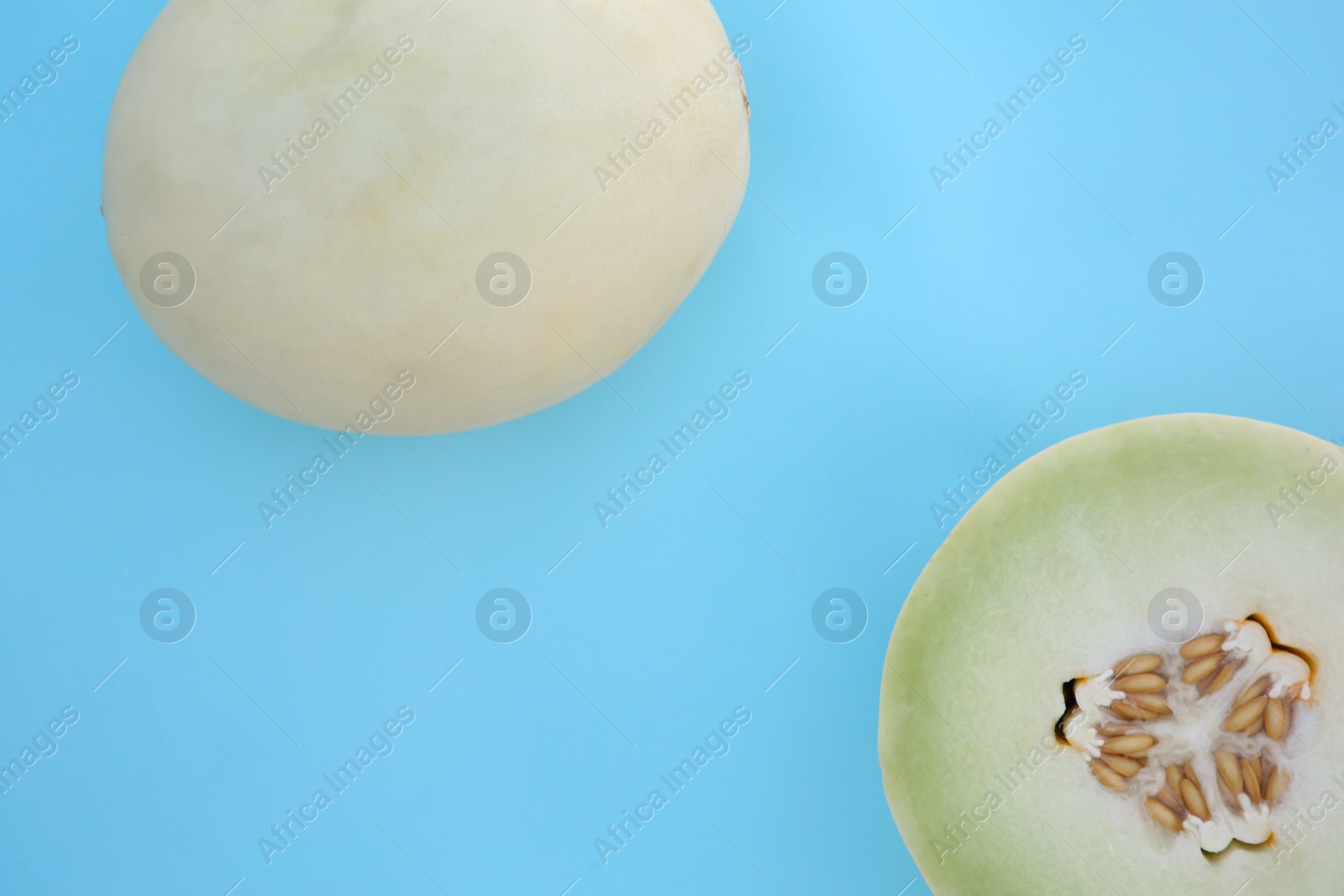 Photo of Whole and cut fresh ripe honeydew melons on light blue background, flat lay. Space for text