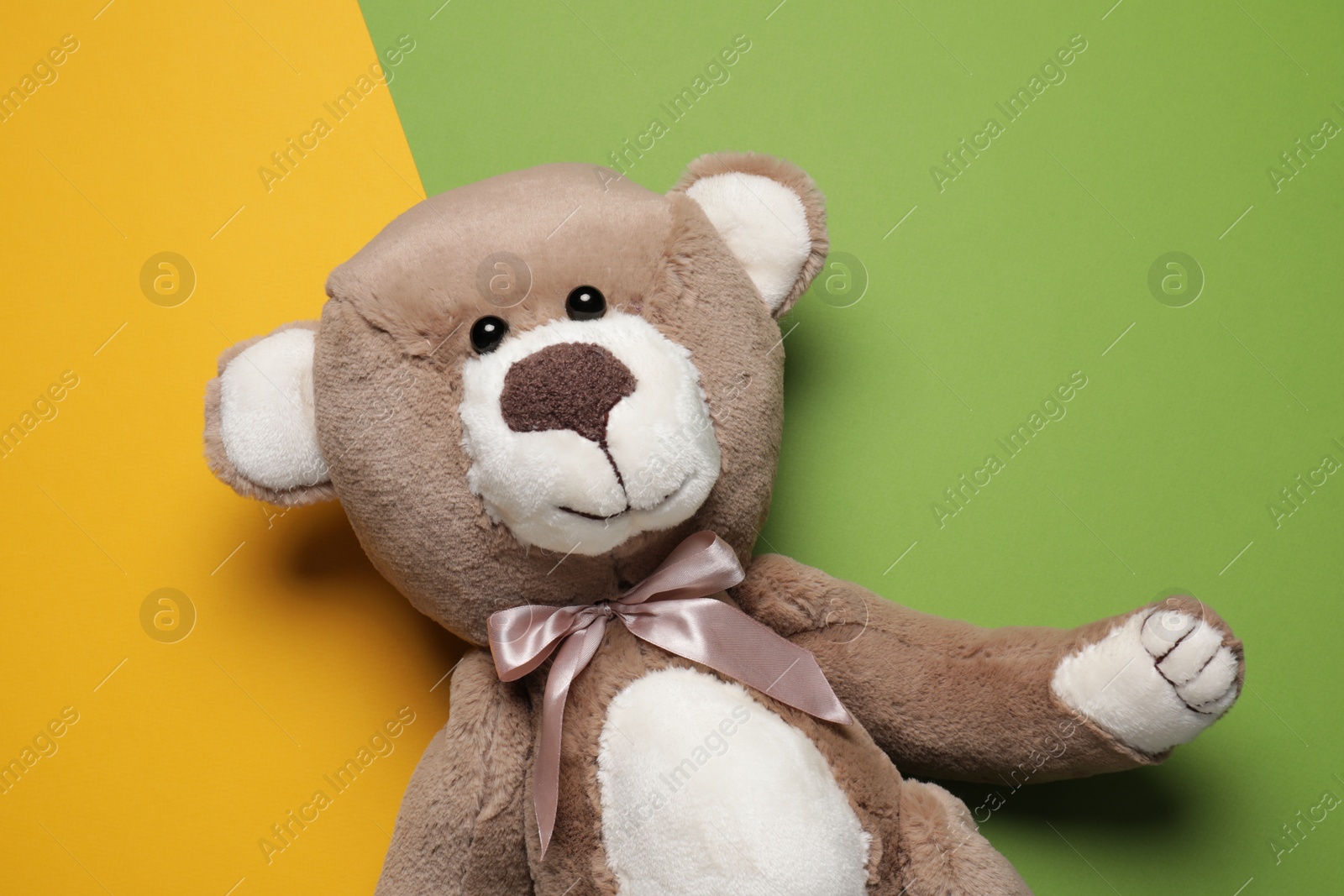 Photo of Cute teddy bear on color background, top view