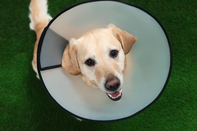 Photo of Cute Labrador Retriever with protective cone collar on green grass, above view