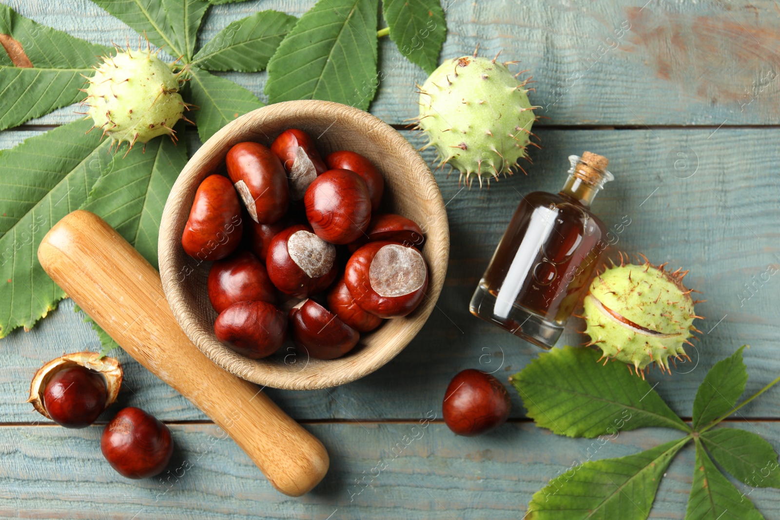 Photo of Mortar with pestle, chestnuts and essential oil on blue wooden table, flat lay