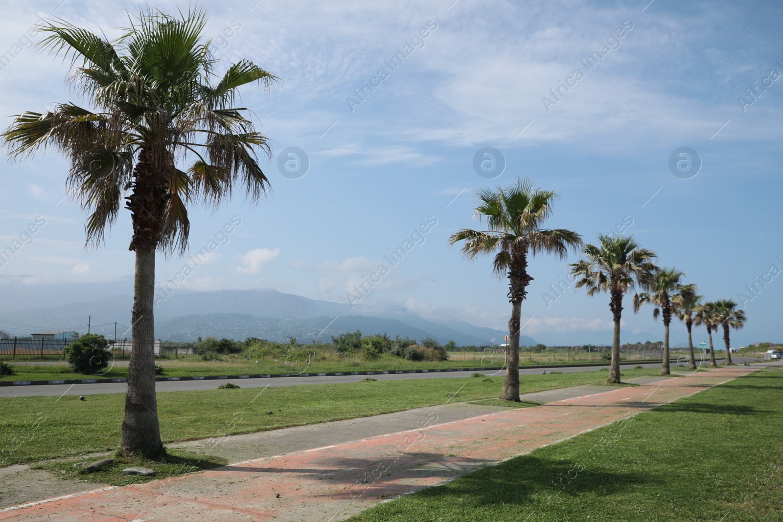 Photo of Beautiful view of tropical palm trees on sunny day