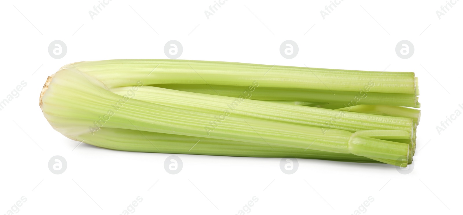 Photo of Fresh ripe green celery isolated on white