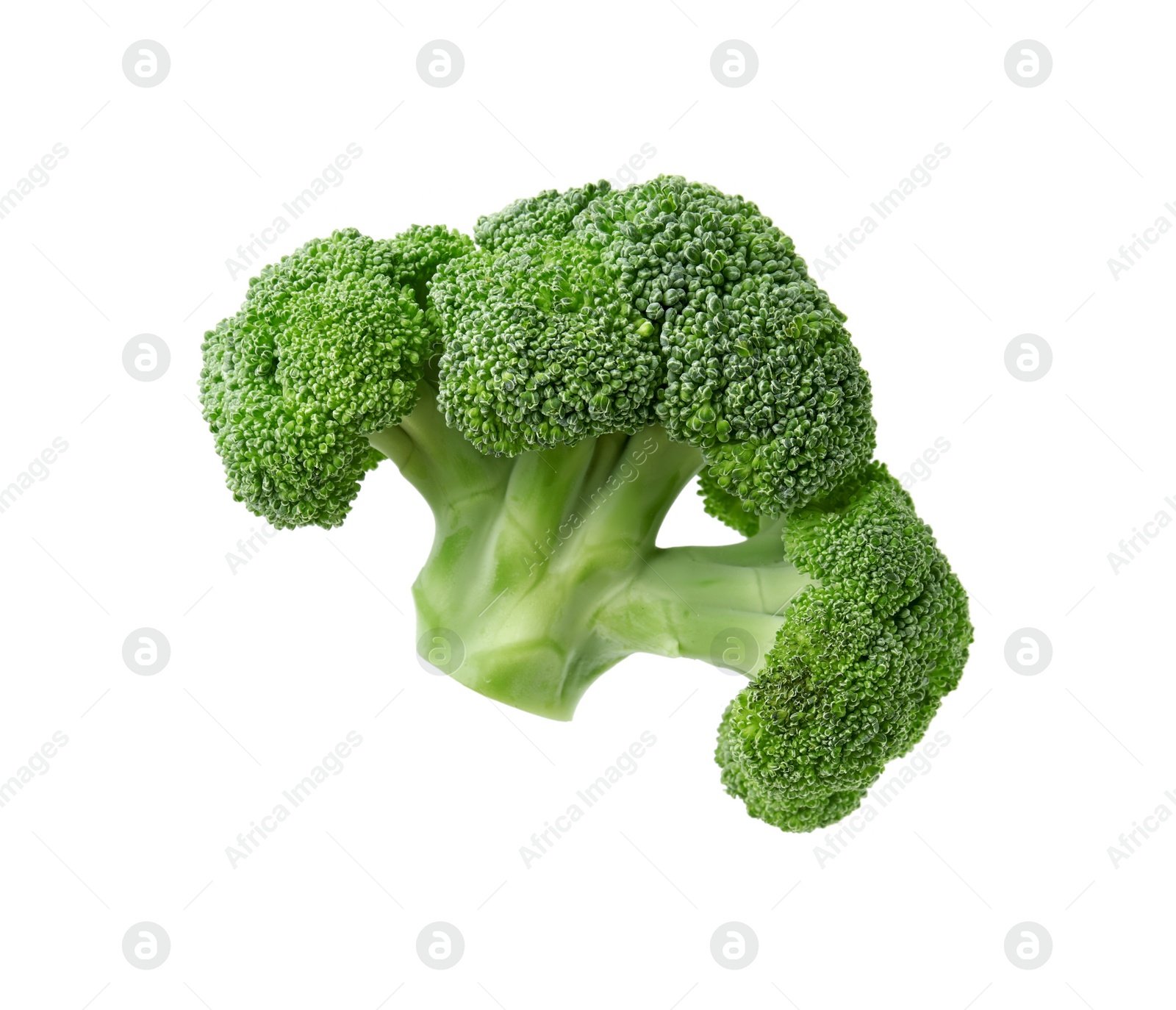 Photo of Fresh raw green broccoli isolated on white