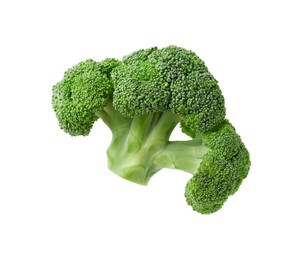 Photo of Fresh raw green broccoli isolated on white