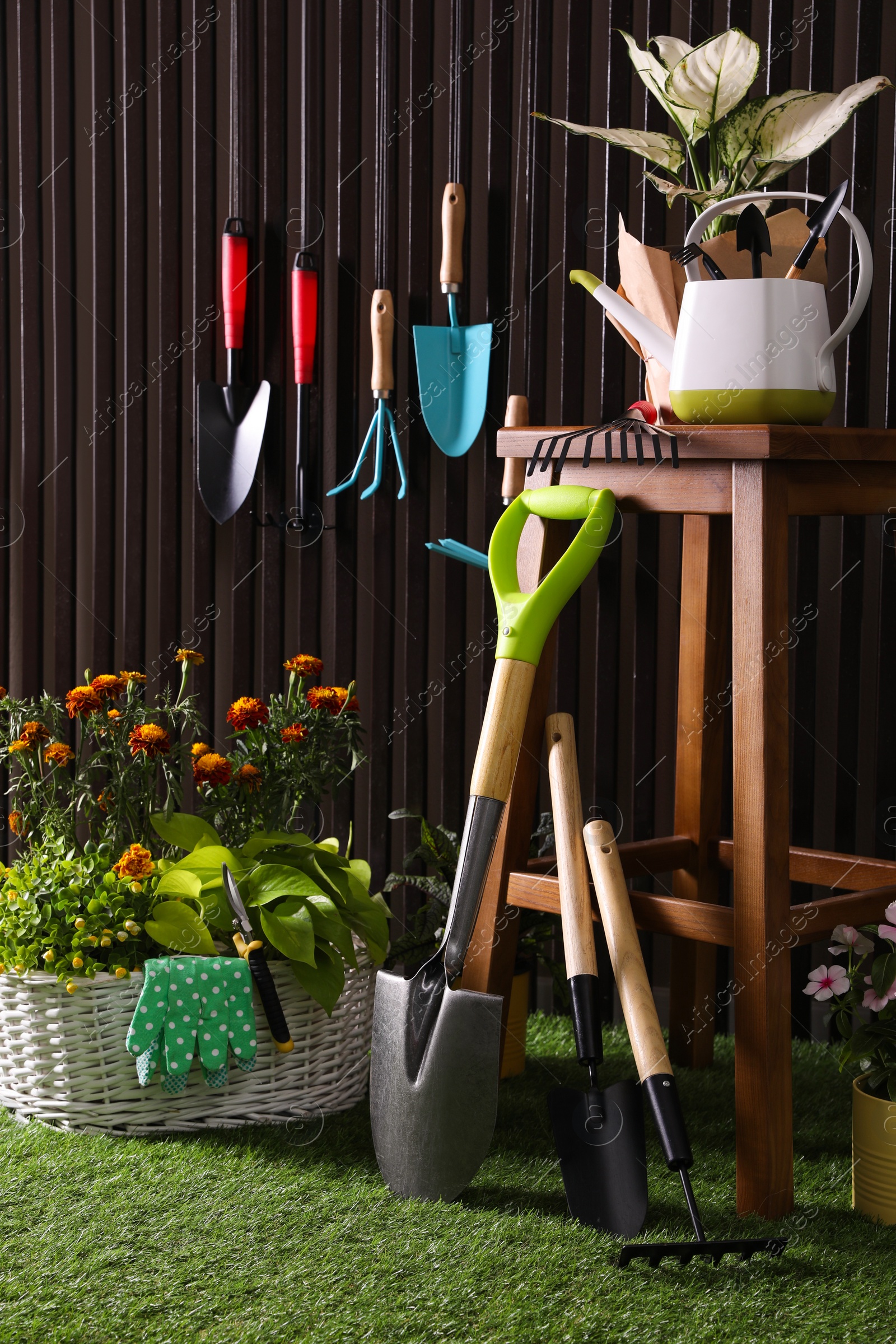 Photo of Beautiful plants, gardening tools and accessories on green grass near wood slat wall