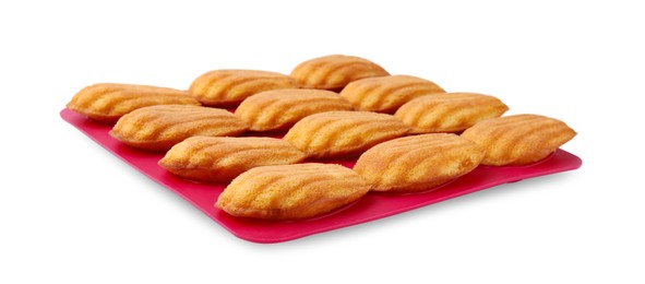 Many tasty madeleine cookies in baking mold isolated on white