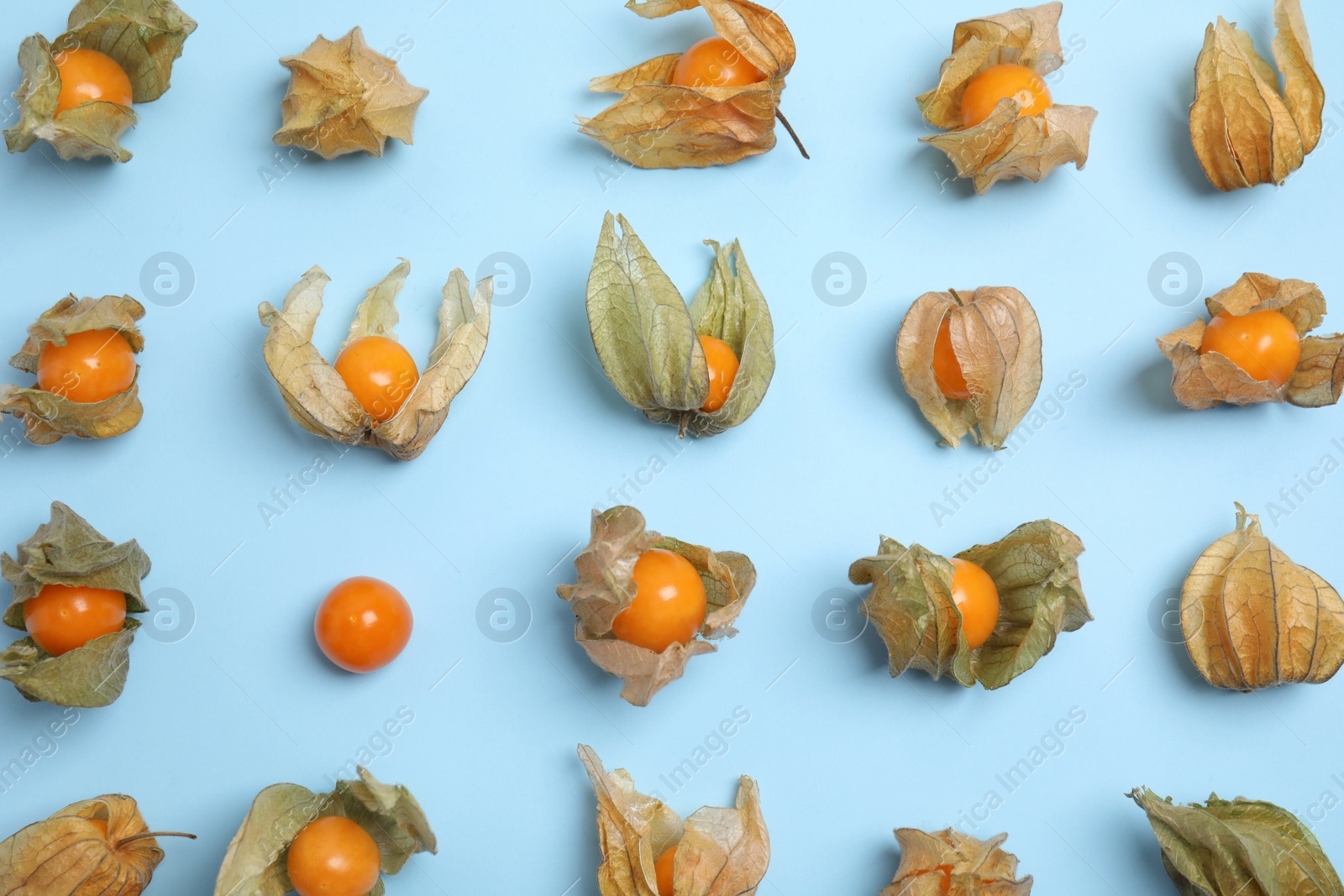 Photo of Ripe physalis fruits with dry husk on light blue background, flat lay