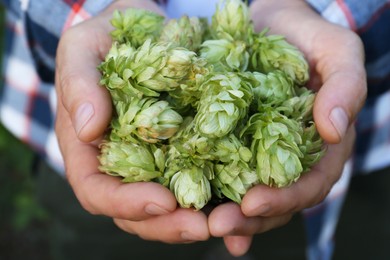 Photo of Man holding fresh green hops on blurred background, closeup