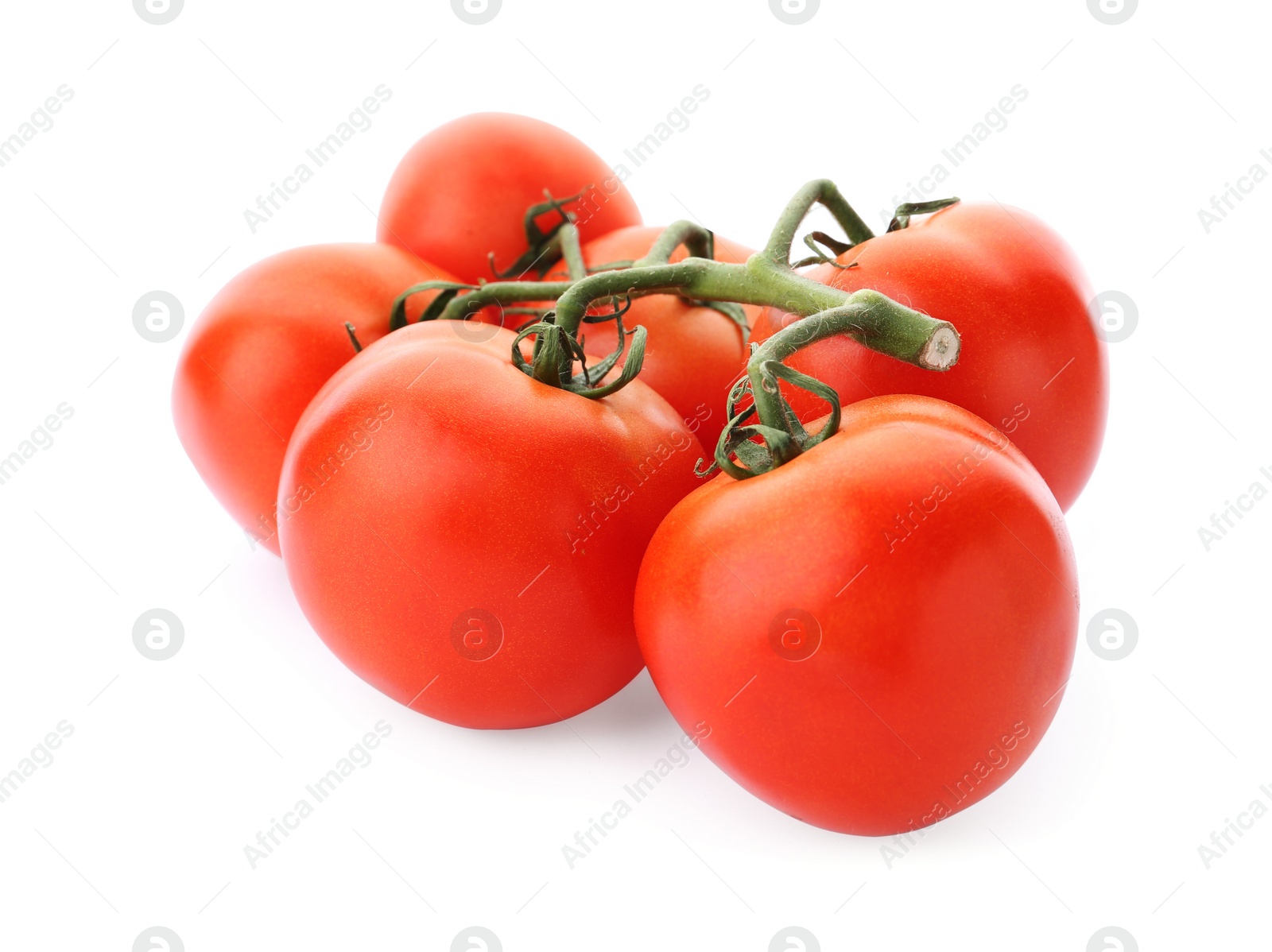 Photo of Branch of ripe red tomatoes on white background