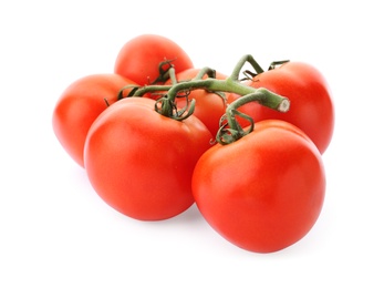 Branch of ripe red tomatoes on white background