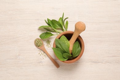 Fresh and dried broadleaf plantain leaves on light wooden table, flat lay