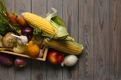 Different fresh vegetables with crate on wooden table, top view. Farmer harvesting