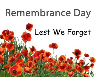 Image of Remembrance day card. Red poppy flowers and text Lest We Forget on white background