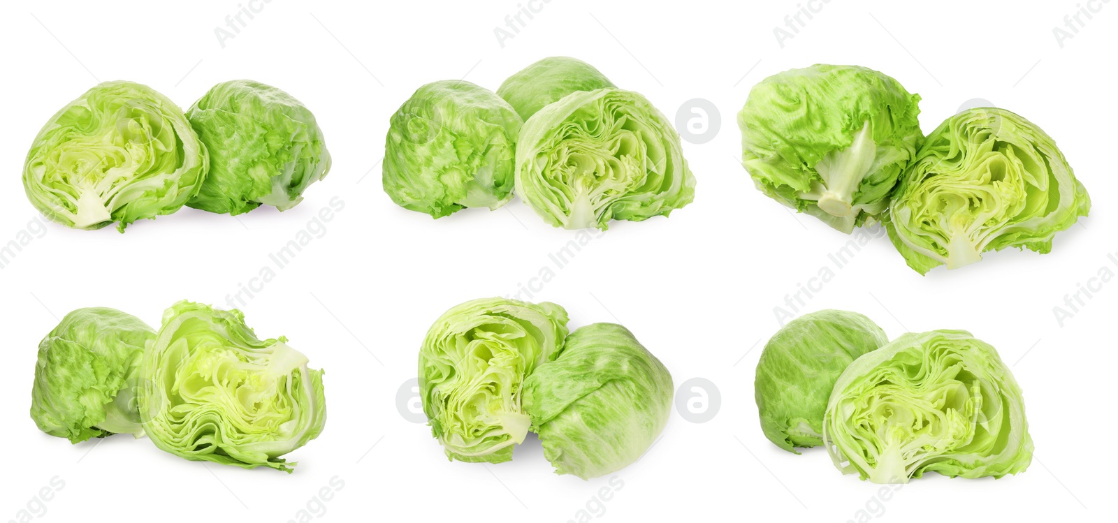 Image of Collage with fresh lettuce heads on white background