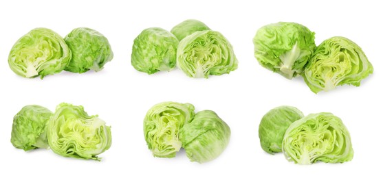 Collage with fresh lettuce heads on white background