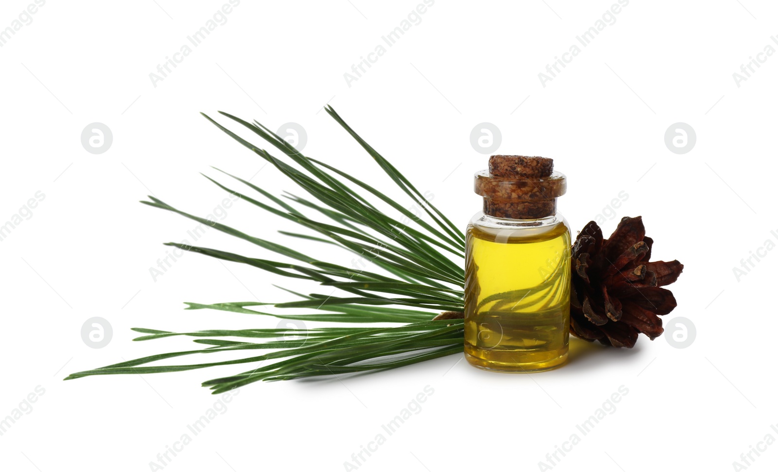 Photo of Glass bottle of essential oil and pine branch with cone on white background