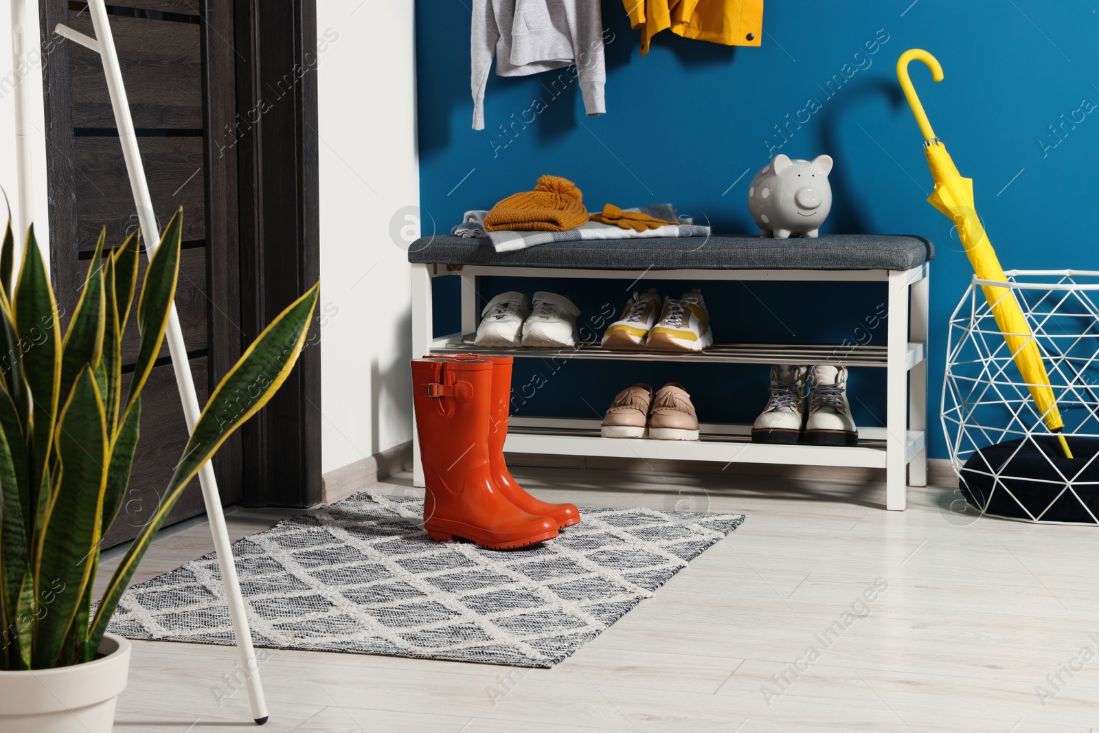 Photo of Stylish hallway with shoe storage bench near blue wall. Interior design