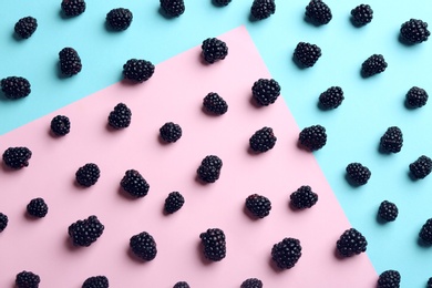 Flat lay composition with ripe blackberries on color background