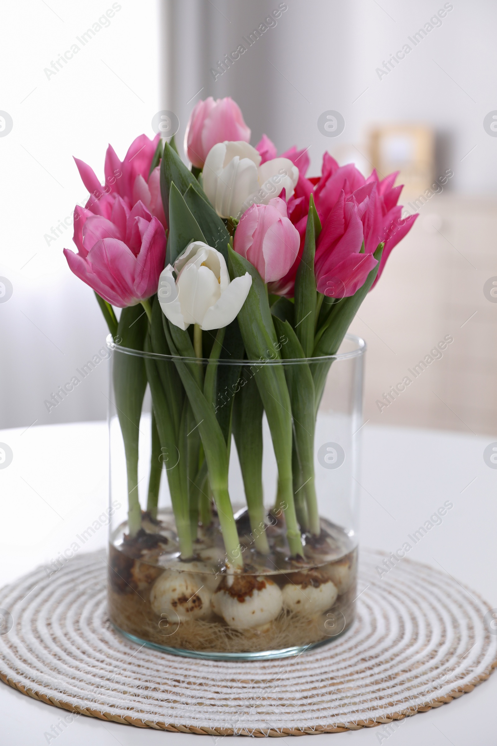 Photo of Bouquet of beautiful tulips with bulbs on table indoors