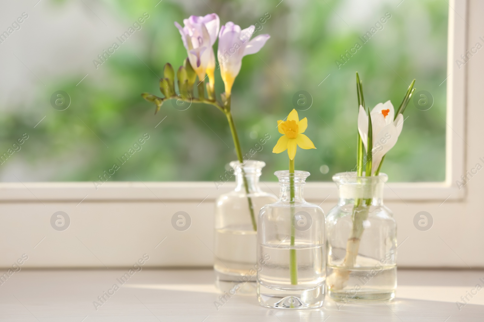 Photo of Beautiful spring flowers on window sill indoors